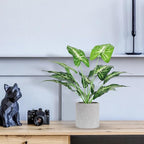 Der Rose 2 Pack Fake Plants Artificial Tropical Faux Plants Indoor for Office Desk Home Sage Green Decor