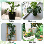 4 Pcs Iron Monstera Plant Support Monstera Trellis with Bamboo Clamp, 6.5x5.5 Inch Plant Stakes for Indoor Plants, Sturdy Metal Frame for Climbing & Thriving Growth (Gold)