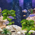 Moonorange Reptile Artificial Plants, Terrarium Plants Decorations Supplies, Aquarium Fish Tank Plant, Amphibian Habitat Hideout Tank Accessories(M Set-4pcs/D)