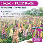 350,000+ Foxglove Seeds for Planting - Digitalis Purpurea Seeds, Tall Ornamental Flower Seeds for Outdoor Cottage and Pollinator Gardens
