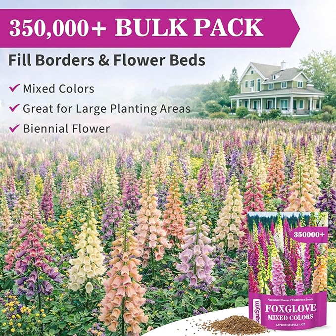 350,000+ Foxglove Seeds for Planting - Digitalis Purpurea Seeds, Tall Ornamental Flower Seeds for Outdoor Cottage and Pollinator Gardens