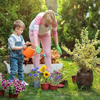 Meekear 5 Kit - Growing into Shasta Daisy, Cornflower, Sunflower, Zinnia, Lavender for Indoor Outdoor Garden DIY Gifts