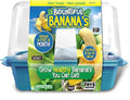 Toys By Nature Bananas Sprout Terrarium - Indoor Banana Growing Starter Kit - Complete Supplies to Cultivate Edible Mini Bananas at Home - Plants Grow up to 1 Foot per Month - Easy & Fun for All Ages