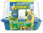 Toys By Nature Bananas Sprout Terrarium - Indoor Banana Growing Starter Kit - Complete Supplies to Cultivate Edible Mini Bananas at Home - Plants Grow up to 1 Foot per Month - Easy & Fun for All Ages