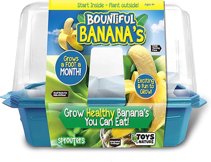 Toys By Nature Bananas Sprout Terrarium - Indoor Banana Growing Starter Kit - Complete Supplies to Cultivate Edible Mini Bananas at Home - Plants Grow up to 1 Foot per Month - Easy & Fun for All Ages