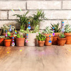 Potted Plant Trellis with Colorful Crystal Sun Catchers, 6.7 Inch Metal Plant Stakes, Fairy Stakes for Mini Potted Plant Decoration for Home Window Garden (8 Pack)