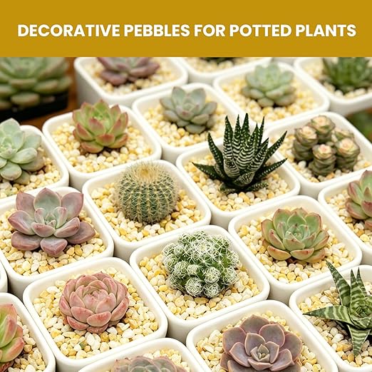 1/8 Inch Aquarium Gravel, Cream Beige Small Pebbles for Fish Tank, Succulents, Indoor Plants, Terrarium, Vase Filler, Natural Mini River Rocks for Drainage and Top Dressing, 3LB