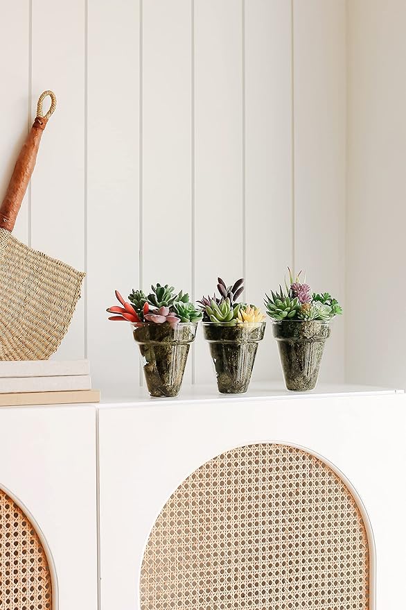 Artificial Succulent Plants - 18 Pack - Premium Fake Plants - Double Flocked Succulents - Realistic Textured Cactus - Face Succulent Plants - Mini Faux Succulents - Face Plant Decor