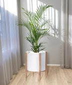 D'vine Dev Planter Pot with Stand - 14 Inch Plastic Cylinder Flower Pot with Wood Planter Holder for Indoor, Matte White Pot + Natural Stand, 55-C-S-1
