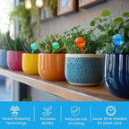 Automatic Plant Watering Globes Self Watering Planter Inserts (Set of 6) | Hands Free Multicolor Glass Bulbs | Planter Spikes to Support Indoor & Outdoor Plant Health (100ml)
