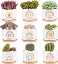 SAIWEILAI Ceramic Succulent Planter Pots Set of 9 with Bamboo Trays, Round Painted Plant Pots for Indoor Desktop Decoration, White