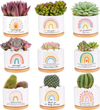 SAIWEILAI Ceramic Succulent Planter Pots Set of 9 with Bamboo Trays, Round Painted Plant Pots for Indoor Desktop Decoration, White
