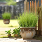 10PCS Fake Grass Filler Decor Artificial Grass Plants Outdoor Faux Plants Artificial Tall Shrubs Wheat Grass Greenery Stems UV Resistant Onion Grss For Outdoor Indoor Vase Planters Home Decor, Green