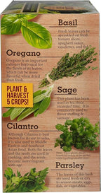 Herb Indoor Kitchen Window Garden Terrarium Starter Kit - Grow Your Own Basil, Oregano, Rosemary Sage, Cilantro, & Parsley - Includes Soil, Seeds & Complete Supplies - Unique Indoor House Plants
