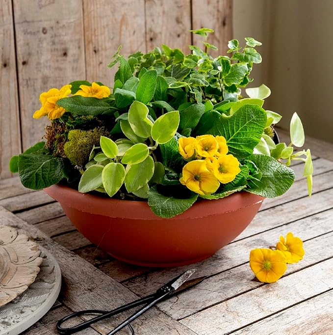 The HC Companies Shallow Planter with Drainage - Contemporary Garden Bowl Planter for Flowers, Herbs & More - Round Succulent Planter Pot for Indoors and Outdoors (24" Chocolate, Pack of 1)