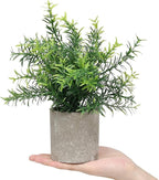 Flojery 2 Pack Small Fake Plants Faux Eucalyptus Potted Artificial Plants for Home Indoor Office Bathroom Dining Room Coffee Table Décor