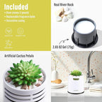 2 Pack Artificial Succulent Plants with Subtle Lemon, Faux Indoor Plants for Home Decor, Small Fake Plant for Bathroom, Bedroom, Office Decor, Aesthetic Room Accessories, Housewarming Gift