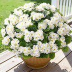 Alupssuc 8Pcs Artificial Geranium Flowers for Outdoors Decoration Silk Floral, UV Resistant Fake Plants, Faux Flower for Porch Garden Table Centerpieces Home Indoor Outside Spring Decor(8, White)