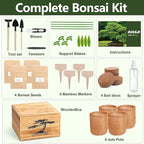 4 Pack Bonsai Tree Kit - 4 Seeds Growing Plant Bonsai Tree Live Kit for Beginners, Easy to Grow Complete Indoor Garden Starter Kits with Wooden Box & Tools, Christmas Gifts for Men Women Plant Lover