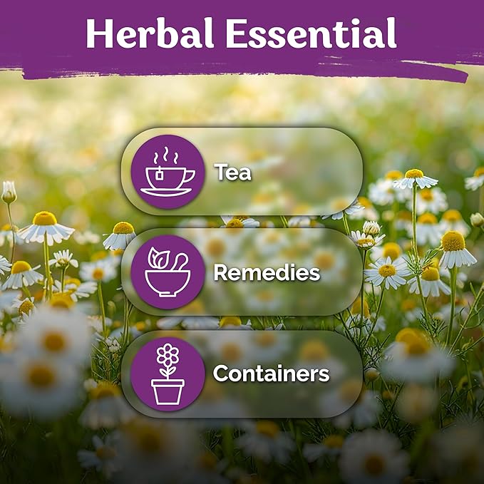 KVITER 2,500 German Chamomile Seeds for Planting (Matricaria Chamomilla/Recutita) – Heirloom & Non-Gmo Medicinal Herb Seeds, Flowers for Remedies & Chamomile Tea Organic – Indoors/Outdoors Herb Garden