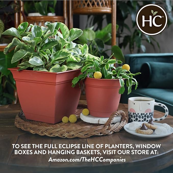The HC Companies 8 Inch Eclipse Round Planter Pots with Drainage Holes & Attached Saucer, Lightweight UV-Resistant Plastic Indoor & Outdoor Planters, 6-Pack Flower Pots for Garden & Home Decor, Rose