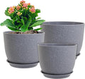 WSMKSZ 12/10/9 inch Large Plant Pots, 3 Pack Modern Decorative Plastic Planters with Drainage Holes and Saucer for House Garden Plants, Flower Pots for Indoor Outdoor Plants, Speckled Grey