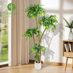 6FT Artificial Ficus Tree with White Planter and Pebbles,Faux Silk Tree with Lifelike Leaves and Realistic Trunk,Tall Fake Potted Plant for Home and Office Décor Indoor and Outdoor (6FT)