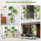6FT Artificial Ficus Tree with White Planter and Pebbles,Faux Silk Tree with Lifelike Leaves and Realistic Trunk,Tall Fake Potted Plant for Home and Office Décor Indoor and Outdoor (6FT)
