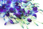 KaBloom - Exotic Blue Sapphire Orchid Bouquet of 20 Fresh Blue Dendrobium Orchids with Vase - Fresh Flowers for Birthday, Valentine's & Mother's Day