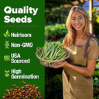 HOME GROWN Contender Bush Bean Seeds 56+ Heirloom Non-GMO, High Germination, Stringless Green Beans for Planting, Early Harvest, Emergency Food Supply, Fresh Eating & Canning (Phaseolus vulgaris)