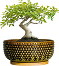 Bonsai Pots 8 Inch - Ceramic Planter for Indoor Plants, Succulent Pots with Drainage Hole and Plant Tray, Modern Round Decorative Flower Planters, Home Decor, Brown & Green