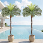 6ft Tall Artificial Phoenix Palm Tree for Outdoor Indoor Decor, Large Faux Coconut Silk Palm Tree Tropical Fake Tree Perfect for Outside Patio Poolside Home Office Decor (Set of 2)
