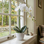 Artificial Orchid Flowers in Pot, 17" Real Touch Phalaenopsis Faux Orchid Plant (Adjustable to 20"), Large White/Pink Fake Flower Arrangement for Dining Table Centerpiece, Home Office (White)
