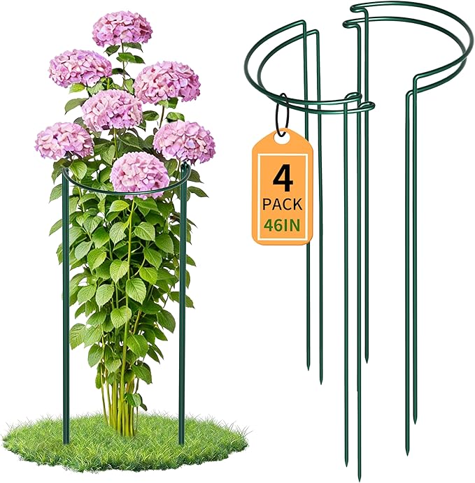 TCBWFY 4 PCS Plant Supports 16" Dx46 H Peony Cages and Supports,6mm Thick Metal Wire Heavy-Duty Garden Stakes for Indoor & Outdoor Plants,Ideal for Peony,Tomato,Hydrangea,Rose