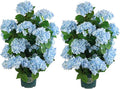 Faux Hydrangea Tree 30" Tall (2 Pack), Artificial Hydrangea Plant in Pot with Blue Flowers, Realistic Hydrangea Tree for Indoor Outdoor Porch, Patio, Home Decor