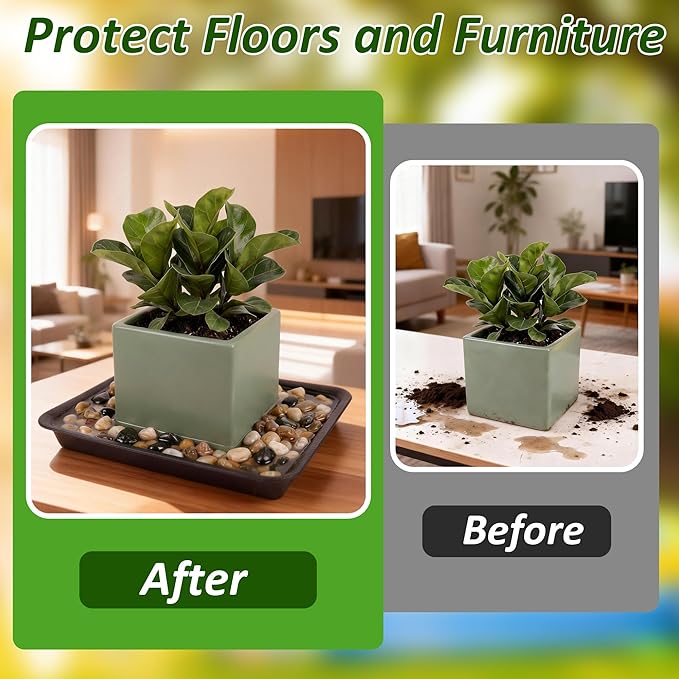PeoMev 6PCS Plant Saucers for Indoors - 6 8 10 Inch Plastic Plant Trays for Pots Rectangle Plant Plates to Catch Water