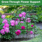 1 Pcs Jardin Bird Cage Plant Support 24" H Large Sturdy Grow-Through Flower Support Peony Cage Climbing Plant Support Trellis Sculptural Garden Decor for Perennial Flowers (Black)