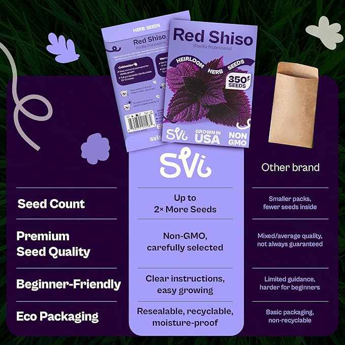 SVI 350 Red Shiso Seeds (Perilla frutescens) – Japanese Shiso Purple Perilla Seed Packets, Aromatic Leaves – Japanese Heirloom Herb Seeds for Outdoor & Indoor Herb Garden
