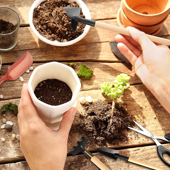 13 Pieces Bonsai Tools Set Succulent Mini Garden Hand Tools Includes Pruning Shears, Mini Rake, Fold Scissors, Bud and Leaf Trimmer for Small Fairyland Gardening Plant