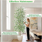 Bailikang 8FT Artificial Ficus Trees Indoor Faux Trees Indoor Fake Floor Plants Tall Artificial Tree with White Pot Faux Tree Fake Indoor Tree Silk Plants Artificial Trees for Home Decor Indoor