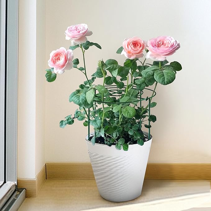 SYITCUN 4pack Peony Cages and Supports, 12 x 24 Inch Four Legs Peony Cage, Heavy-Duty Peonies Support Cages, Peony Ring for Roses, Hydrangeas, Sage, Peonies, Cucumbers, Tomato