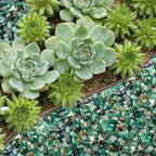 Halatool 1LB Green Aquarium Gravel for Fish Tank 0.35"- 0.6" Landscaping Pebbles for Home Decor Natural Decorative Polished Stones for Potted Plants DIY Handmade & Vase Filler