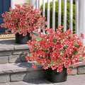 Artificial Morning Glory & Eucalyptus Topiary Trees - Set of 2 Faux Silk Flower Potted Plants, UV-Resistant Fake Outdoor Morning Glory Bushes for Front Door, Yard, Farmhouse, Garden Decor (Red)