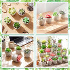 24 Pack Assorted Artificial Succulents in Retro Pulp Pots Bulk Fake Succulent Plants with Vintage Stone-Like Paper Pulp Pots Variety Set for Home, Office & Desk Decor (Various Style)