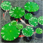 12Pcs Floating Lily Pads for Ponds, Fake Lily Pads, Artificial Lotus Leaves Decorative, 6in 7.8in 7in 4in Each 3pcs(Total 12pcs)