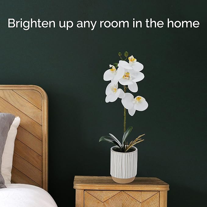 Mikasa Artificial Orchid in Pot, Real Touch Phalaenopsis Orchid, Cream Glaze Ceramic Pot, 16-Inch Single Branch, White/Yellow