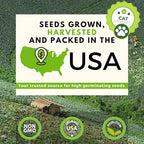 HOME GROWN 2,160+ Cat Plant Seeds Mix – Non GMO Heirloom Catnip, Lemongrass, Licorice, Thyme & Valerian – Pet-Friendly Indoor Garden Refill Kit for Cats & Kittens