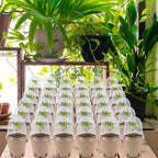 winemana 36 Set Plant Nursery Pots with Humidity Dome, Seed Starter Biodegradable Peat Pots, Seedlings Planting Pots with Labels for Indoor Outdoor Garden
