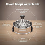 PetSafe Stainless Multi-Pet Fountain with Carbon Filters Great for Multiple Pet Households Customizable Stream Options Scratch and Rust Resistant 128 Oz Water Capacity Fresh, Filtered Water