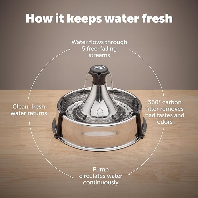 PetSafe Stainless Multi-Pet Fountain with Carbon Filters Great for Multiple Pet Households Customizable Stream Options Scratch and Rust Resistant 128 Oz Water Capacity Fresh, Filtered Water